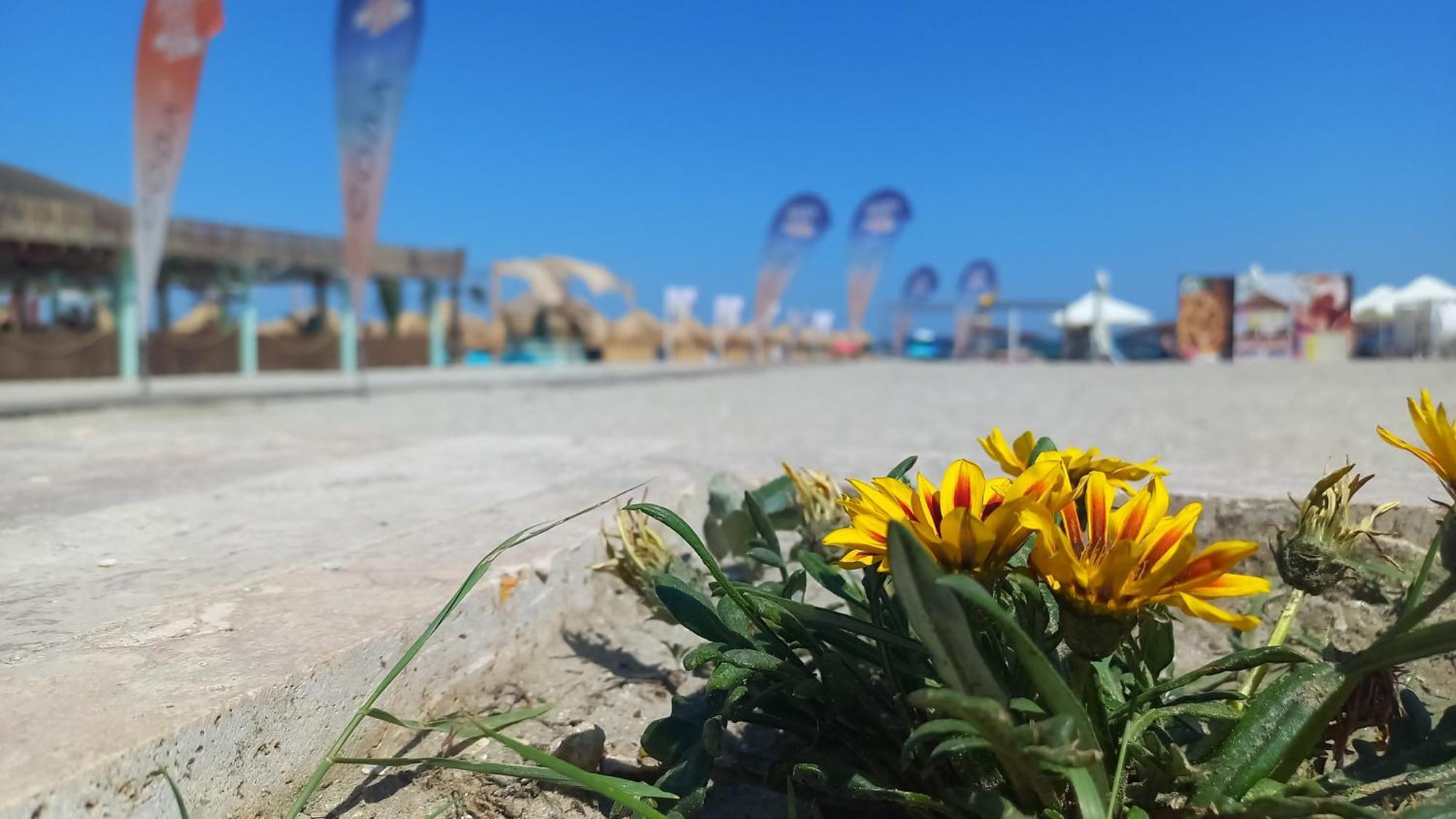 Luxury Promenada Apartment - Frontal Beachfront Mamaia Nord Năvodari Zewnętrze zdjęcie