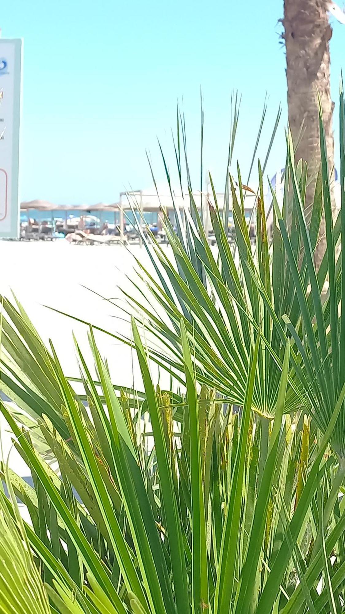 Luxury Promenada Apartment - Frontal Beachfront Mamaia Nord Năvodari Zewnętrze zdjęcie